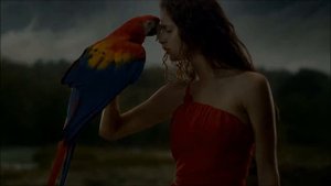 SHAMAN & ENIGMA - Не Разбивай & Why