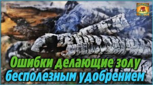 ОШИБКИ которые делают золу БЕСПОЛЕЗНЫМ и ВРЕДНЫМ УДОБРЕНИЕМ для сада и огорода Дачные ХИТРОСТИ