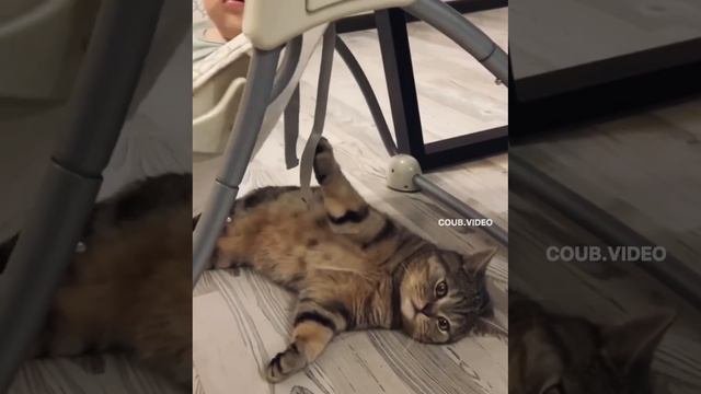 Все приходится делать самому