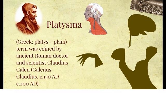 Прези-презентация для тендера смотреть онлайн