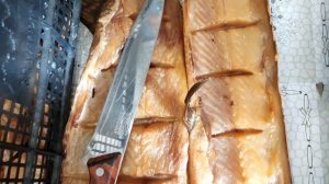 Холодное копчение рыбы. #щепа #яблоня#копченый24