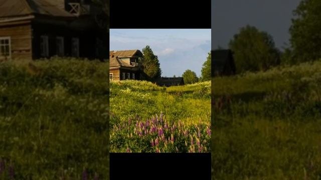 Звук природы на даче для снятия стресса и усталости