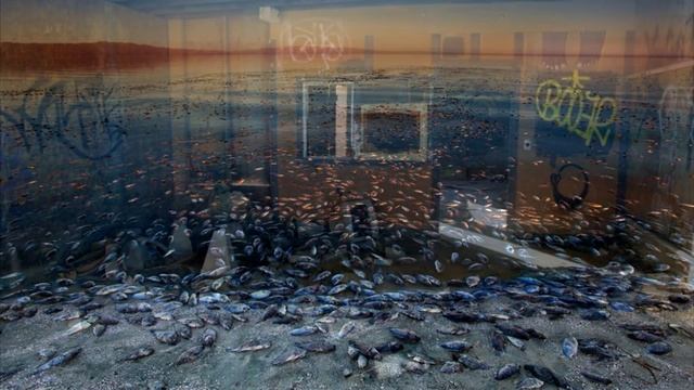 ТЕОРИИ GTA - ТАЙНА SANDY SHORES смотреть онлайн