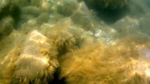 Что находится на дне Чёрного моря? / Тайны Чёрного моря
