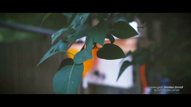 Тихая дача... смотреть онлайн