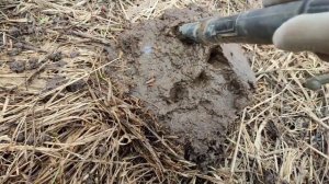 Нокта Легенд коп по старине...