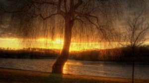 « Ива белая »  Трио « Рябинушка »