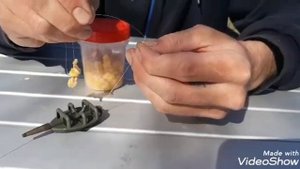 Ловля дикого сазана.САЗАН АТАКУЕТ. Монтаж на сазана