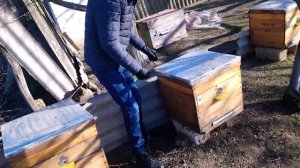 вентиляция улья зимой. сырости нет. пчеловодство