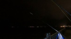 UK Sea Fishing - Victoria Dock -  Cod Fest - With Big Dan UK Sea Fishing & Faye.