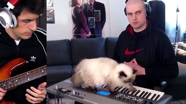 bass guy VS bald guy смотреть онлайн