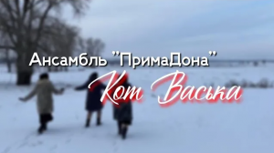 Жизненная песня / Ансамбль ПримаДона - Кот Васька