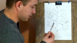 Как рисовать Осеннее Дерево и его Кору