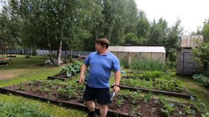 ЗАЩИТА ОТ ПТИЦ В САДУ СПОСОБ БЕЗ ЗАТРАТ земляничная поляна