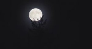 Музыка на ночь для прекрасных сновидений