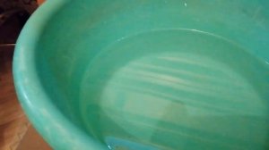 ЛИМОННАЯ КИСЛОТА vs КСЕНОКОКУС I РАБОЧИЙ ЛИ СПОСОБ? I ПРОСТЫЕ СОВЕТЫ #6