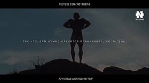 История успеха   Железный Арни