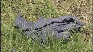 Осторожно, клещи!