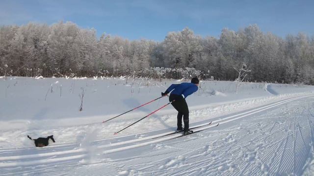 Как научиться кататься на лыжах классикой часть 2