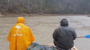 Сплав по реке Бердь, май 2016 года