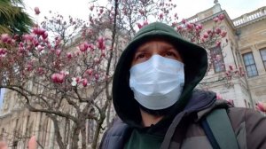 Долмабахче или Топкапы?? И когда цветет магнолия...