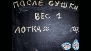 Как быстро высушить чернослив в солнечной сушилке!
