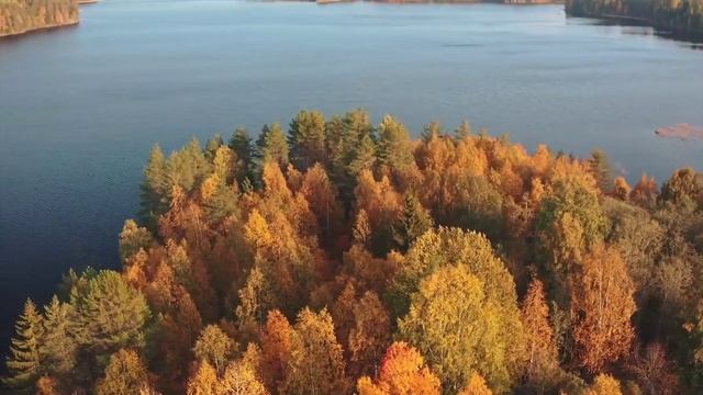 Конкурс декламации. Кметь Дарья, Баткаева Лилия, Саламов Рустам (Россия)