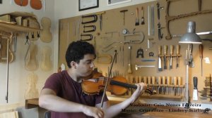 Violino modelo Guarneri - Luthier Marcelo Gonçalves - 2016