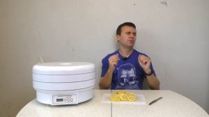 Как сушить лимон в электросушилке