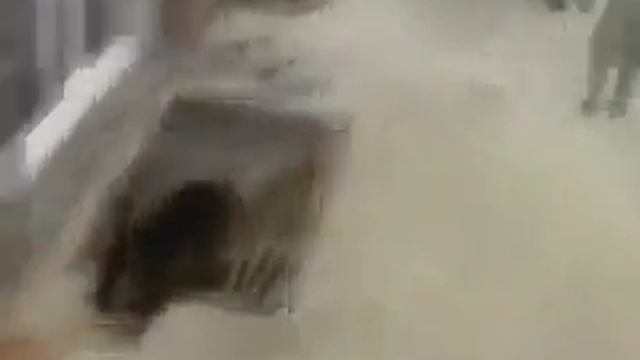 Озабоченный кролик о кот в роли крольчихи смотреть онлайн