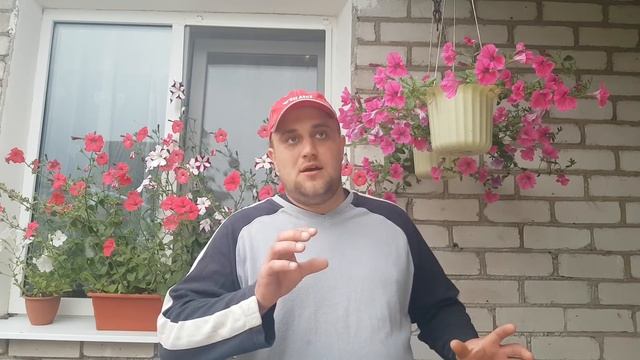 Как увеличить урожай картофеля | Нужно ли окучивать картошку смотреть онлайн