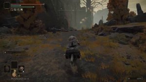 Где искать кристальные слезы? Elden Ring(v. 1.03.3). Гайд.