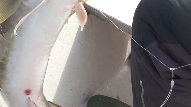 Ваня и налим смотреть онлайн