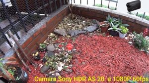 Test Cámara Sony HDR AS20 1080p 60fps