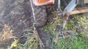 Копаем ? картошку. Картофелекопалка на мини трактор Уралец