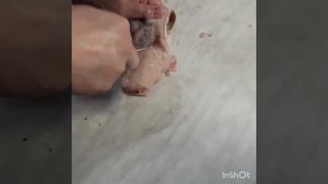 Как снять со щуки кожу для фаршировки