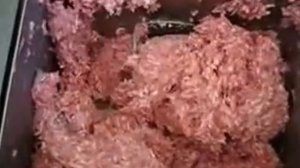 Фаршемешалка MAINCA RM20