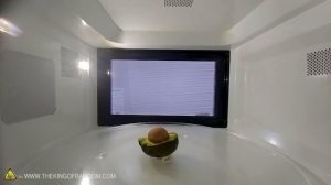 We Microwaved a Watermelon for Half an Hour!