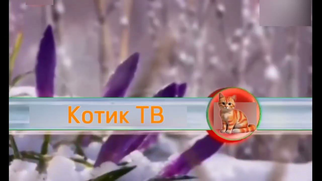 Основная заставка (Котик ТВ, 01.05.2024-н.в.) (весна) для @КотикТвДубляж смотреть онлайн