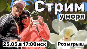 Стрим из Сочи. День города!