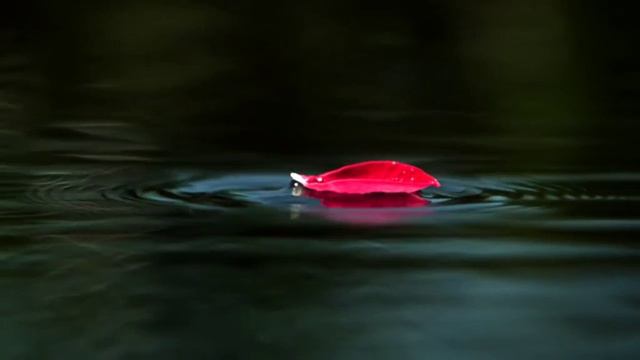 Сентябрь Капельки дождя Из Бочкарева смотреть онлайн