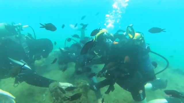 Топ 5 развлечений в городе Судак. Лучший отдых Судак. Что делать в Судаке смотреть онлайн