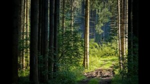 Ленкорань История (Азербайджан)