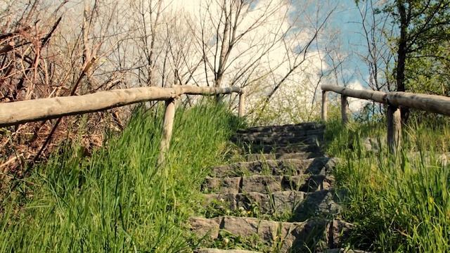 Евангелие дня. Чтимые святые дня. Седмица 25-я по Пятидесятнице. (23.11.2020) смотреть онлайн