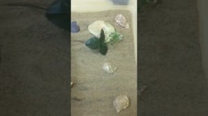 КАК СДЕЛАТЬ МОРСКОЕ ДНО ДЛЯ АКВАРИУМА! ЛЕГКО И ПРОСТО!