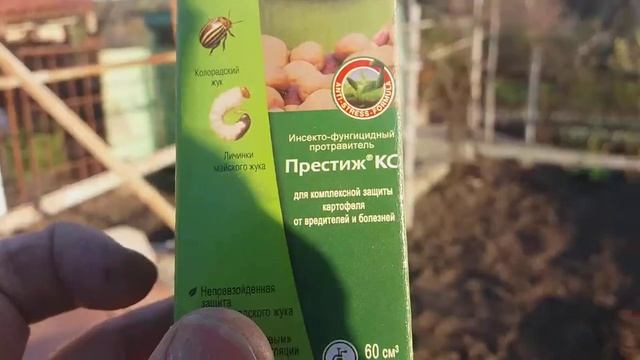 ВИЗИТ #10 Ч1. ДАЧА МЕЧТЫ : САДИМ КАРТОФЕЛЬ СВЁКЛУ МОРКОВКУ ФАСОЛЬ КУКУРУЗКУ КАБАЧКИ ТЫКВУ И ТОМАТЫ