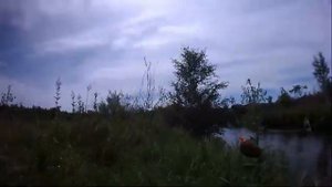 1000003113.mp4