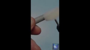 Залипательно. Shorts