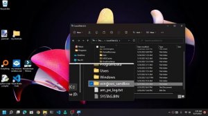 How To Transfer Files Between Windows And Windows Sandbox