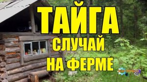 ОХОТА НА ТИГРА ЛЮДОЕДА | СЛУЧАЙ В ТАЙГЕ